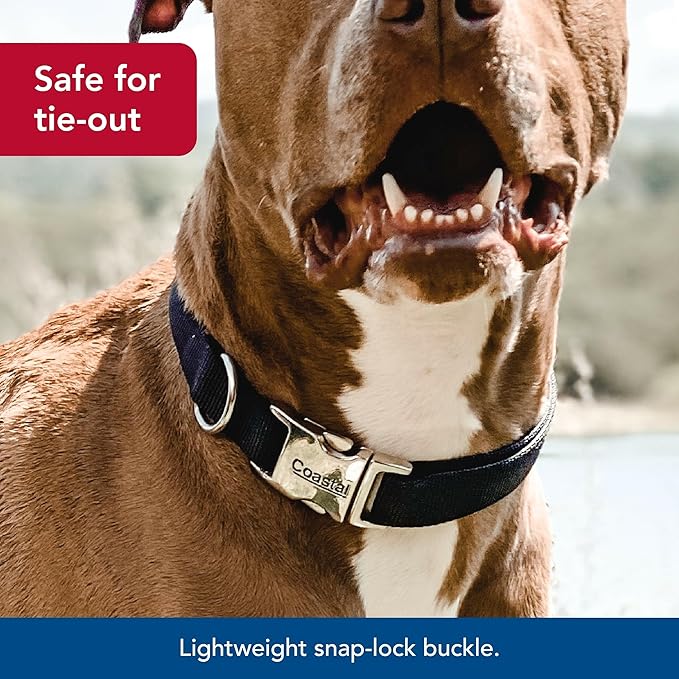Coastal Pet Adjustable Dog Collar with Metal Buckle - Comfortable Fade-Resistant Dog Collar with Snap Lock - Perfect for Walking & Tie Outs - Black, 3/4" x 14" x 20"