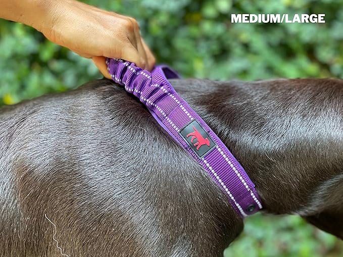 Heavy Duty Dog Collar with Handle | Ballistic Nylon Heavy Duty Collar | Padded Reflective Dog Collar with Adjustable Stainless Steel Hardware | Convenient Sizing for All Breeds