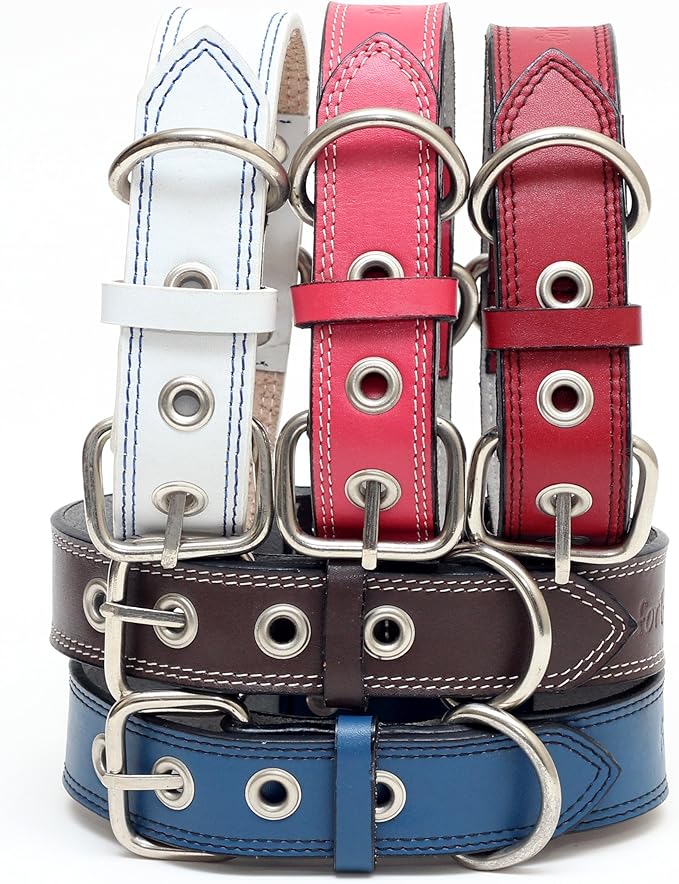 Premium Leather Collars with Stainless Steel Buckles (18"-21", White)