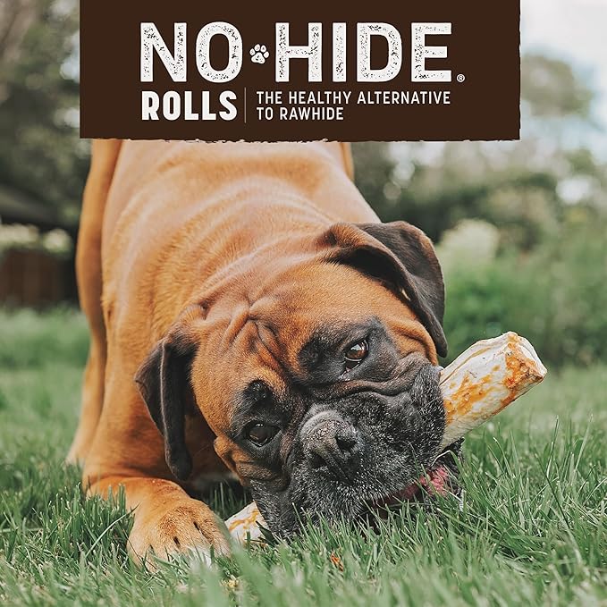 Earth Animal No Hide Large Salmon Flavored Natural Rawhide Free Dog Chews Long Lasting Chew Sticks | Dog Treats for Large Dogs | Great Dog Chews for Aggressive Chewers (1 Pack)