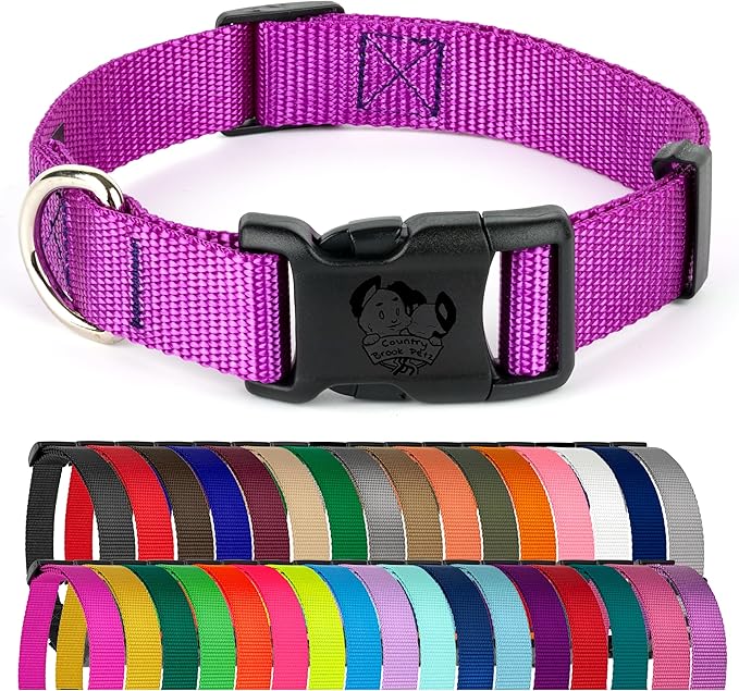 Country Brook Petz - American-Made Dog Collar for Large, Medium, and Small Dogs and Puppies - Deluxe Heavy Duty Nylon in 33 Dazzling Colors (Large, 1 Inch Wide, Bright Purple)