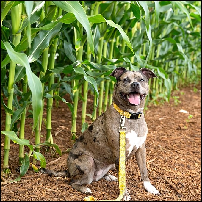 Country Brook Petz - Deluxe Yellow Bandana Dog Collar - Made in The U.S.A. - Country and Western Collection Featuring Rustic Designs (5/8 Inch, Small)
