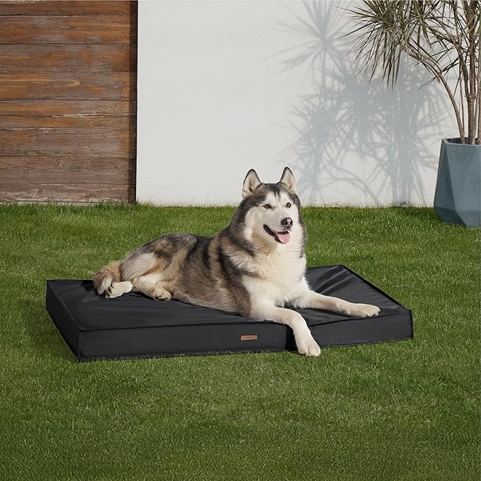 Lesure Outdoor Waterproof Dog Bed for Extra Large Dogs, Orthopedic Egg Crate Foam Pet Bed with Oxford Fabric Surface and Removable and Durable Cover, Machine Washable, 48''x30'', Black