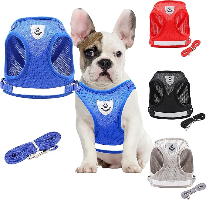 Step in Dog Harness and Leash Set,Reflective Adjustable Soft Mesh Breathable Pet Vest Dog Harnesses Set, No Chock No Pull Padded Puppy Harnesses for Small Dogs and Cats (Blue, X-Small)