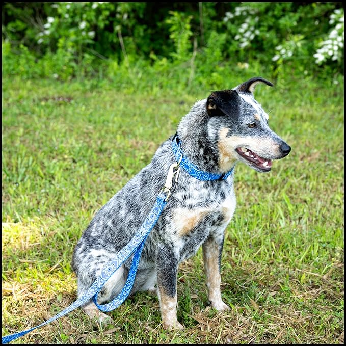 Country Brook Petz - Deluxe Blue Bandana Dog Collar - Made in The U.S.A. - Country and Western Collection Featuring Rugged Designs (1 Inch, Medium)