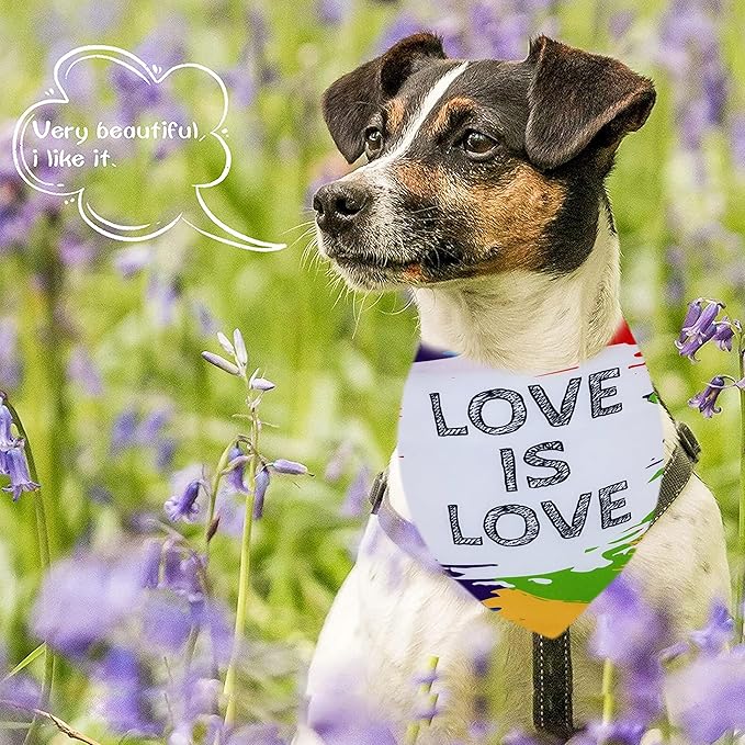 10PCS Pride Day Dog Bandanas with Rainbow Color for XXS XS Small Dog Triangle Bibs Scarves Boys and Girls Gay Pride with Love is Love Kiss Me Grooming Accessories Costume