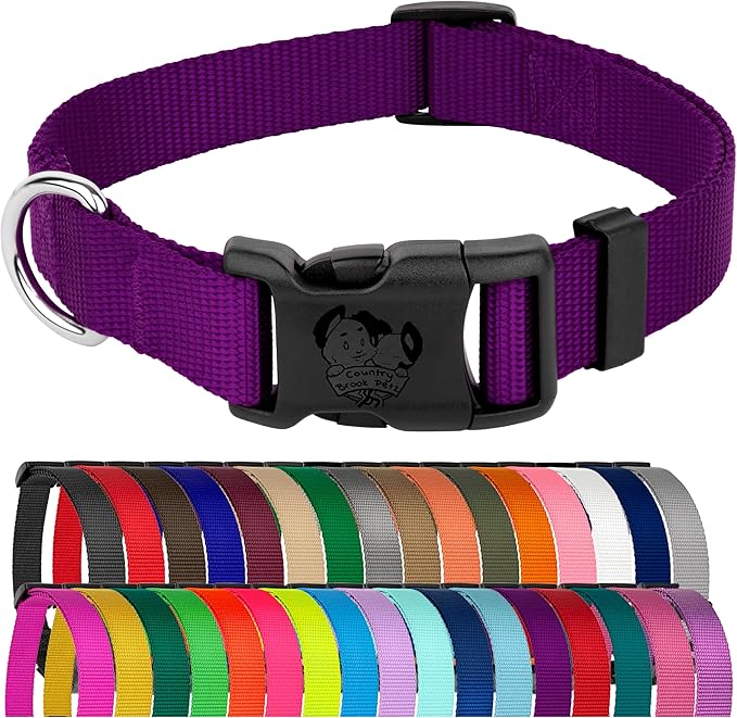Country Brook Petz - American-Made Dog Collar for Large, Medium, and Small Dogs and Puppies - Deluxe Heavy Duty Nylon in 33 Dazzling Colors (Large, 1 Inch Wide, Purple)