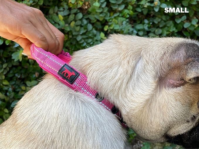 Heavy Duty Dog Collar with Handle | Ballistic Nylon Heavy Duty Collar | Padded Reflective Dog Collar with Adjustable Stainless Steel Hardware | Convenient Sizing for All Breeds