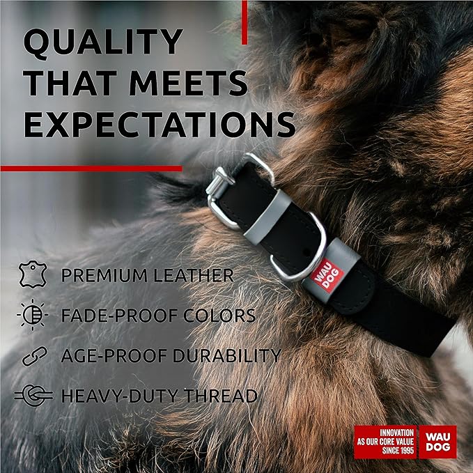 WAUDOG Long Lasting Leather Dog Collar for Large Dogs, Medium & Small Dogs - Adjustable Classic Puppy Collars for Large Breed Dogs - Boy & Girl Dog Collars with Durable Buckle, D-Ring & QR Dog Tag