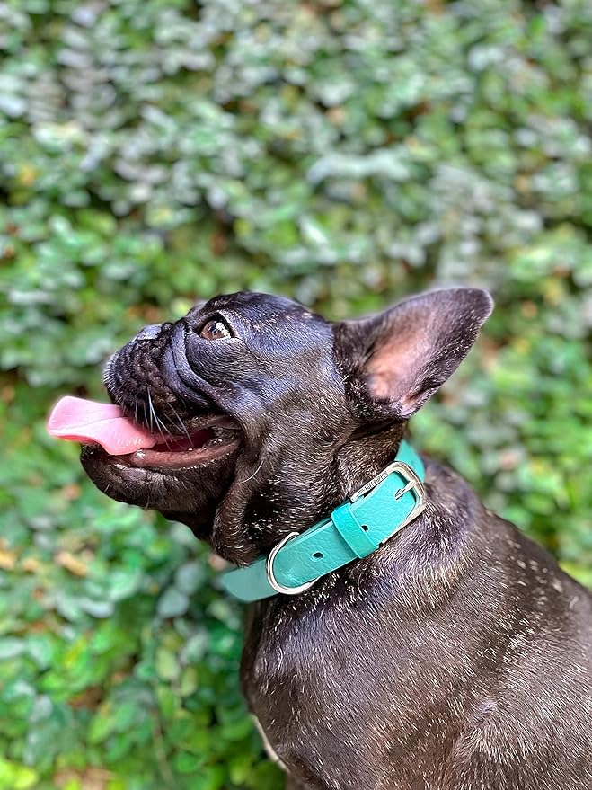 Tuff Pupper Classic Heavy Duty Dog Collar | 10x Stronger Than Leather | 100% Waterproof & Odor Proof Dog Collar | Tough Rust-Proof All Metal Hardware