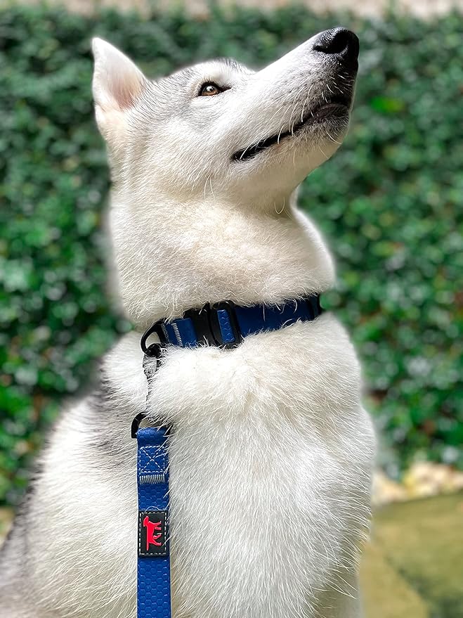 Tuff Pupper Waterproof Action Collar for Dogs | Heavy Duty Water Proof Dog Collar | Tear Proof & Odor Free | Rust-Proof Metal Hardware | Tactical Quick Release Buckle | for Adventurous, Active Dogs
