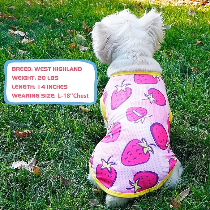 KYEESE 2 Pack Dog Shirt for Small Dogs Quick Dry Lightweight Dog T-Shirts with Reflective Label Tank Top Sleeveless Vest Cat Shirts for Summer UV Protection Strawberry Pattern, Small, Strawberry+Rose