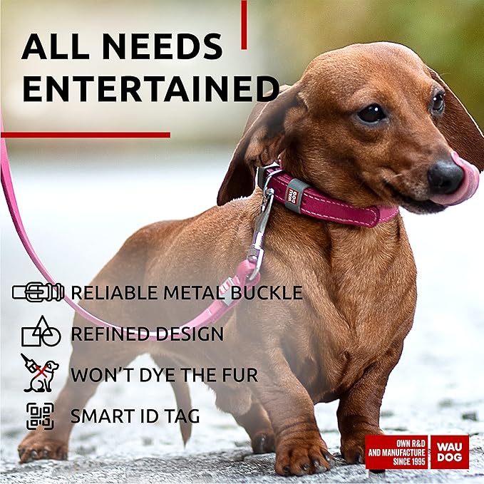 WAUDOG Long Lasting Leather Dog Collar for Large Dogs, Medium & Small Dogs - Adjustable Classic Puppy Collars for Large Breed Dogs - Boy & Girl Dog Collars with Durable Buckle, D-Ring & QR Dog Tag