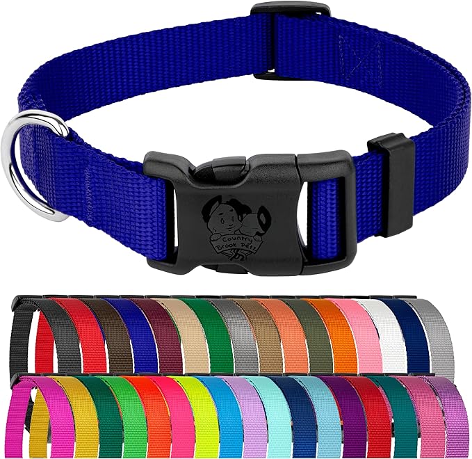 Country Brook Petz - American-Made Dog Collar for Large, Medium, and Small Dogs and Puppies - Deluxe Heavy Duty Nylon in 33 Dazzling Colors (Extra Large, 1 Inch Wide, Bright Royal Blue)