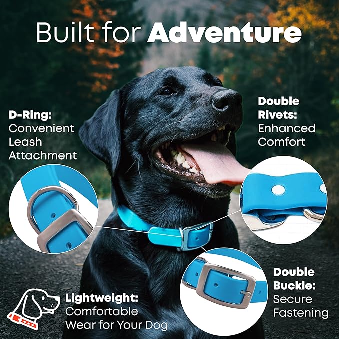 Regal Dog Products Small Light Blue Dog Collar with Heavy Duty Double Buckle & D Ring | Vinyl Coated, Custom Fit, Adjustable Biothane Dog Collar Chew Resistant Waterproof Collar for Dogs