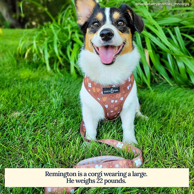 Lucy & Co. 5 Foot Designer Dog Leash for Small, Medium or Big Dogs or Puppies Puppy – Pet Accessories & Supplies –(Chocolate Meadow, Large)