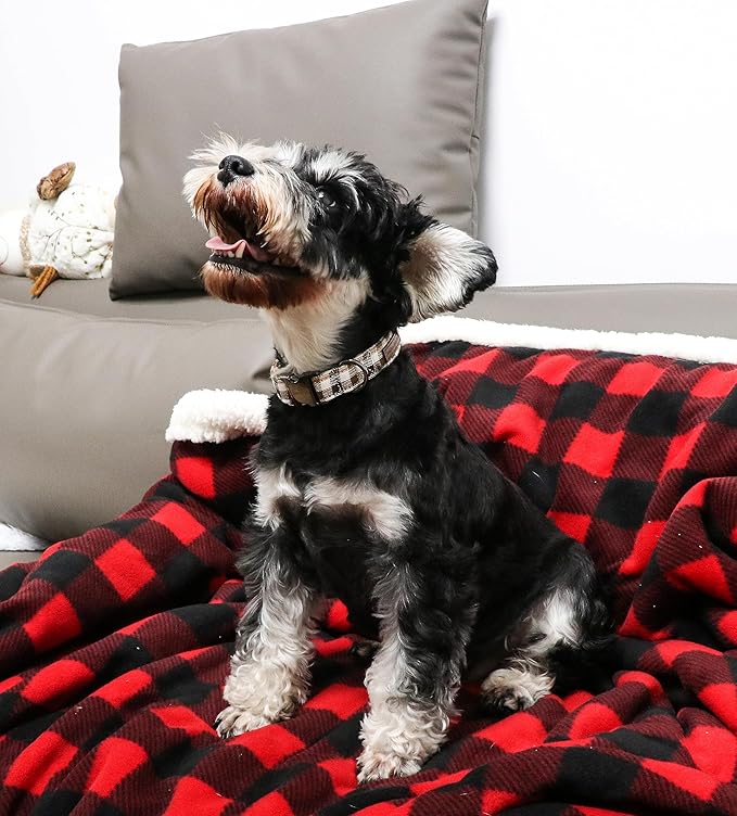 Unique style paws Dog Collar Metal Buckle Collar Gift for Small Medium Large Boys Girls Dogs, brown plaid