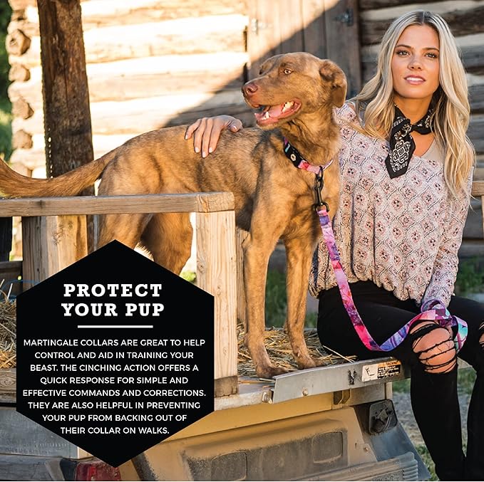 Wolfgang Heavy Duty Martingale Dog Collar with Quick Release Nylon Buckle for Walking & Training, Daydream Print, Small