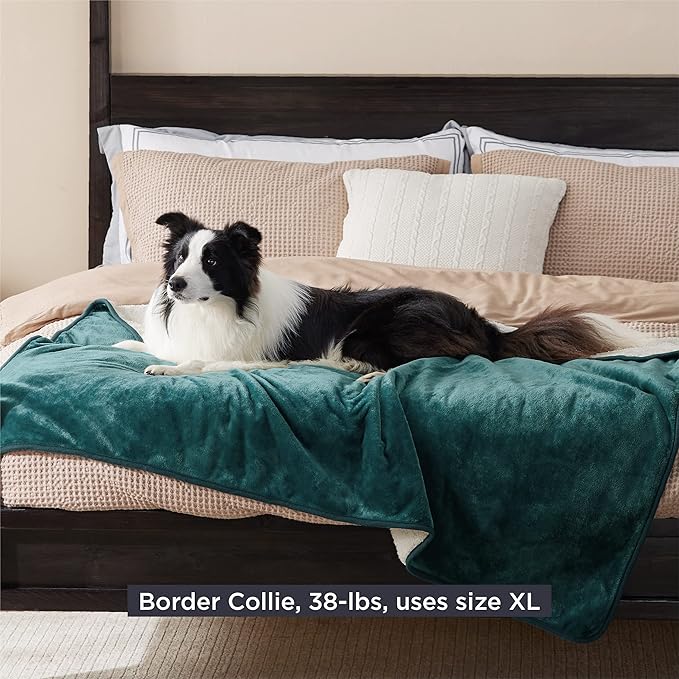 Bedsure Cat Blanket for Indoor Cats - Waterproof Calming Cat Blankets for Couch Bed Protection, Sherpa Fleece Pet Blanket, Soft Plush Reversible Throw Furniture Protector, 60"x50", Green