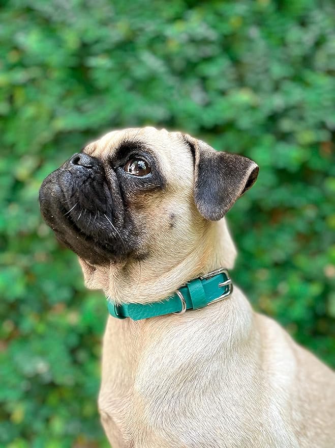Tuff Pupper Classic Heavy Duty Dog Collar | 10x Stronger Than Leather | 100% Waterproof & Odor Proof Dog Collar | Tough Rust-Proof All Metal Hardware