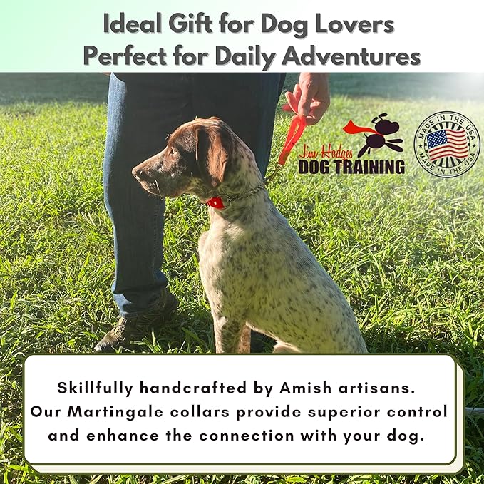 Martingale Collar for Dogs, Biothane, Stainless Steel Hardware, No Pull, Made in The USA, Professional Grade, Medium, Red