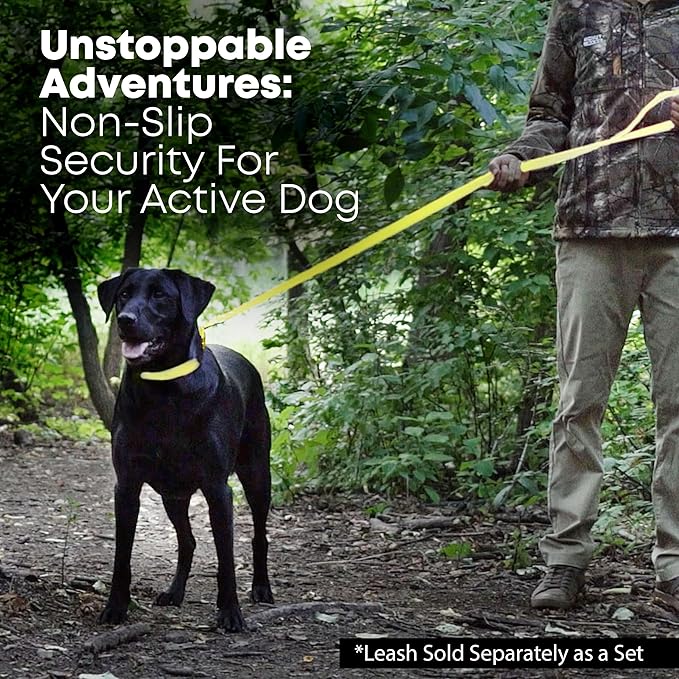 Regal Dog Products Small Yellow Waterproof Dog Collar and Leash Set | Heavy Duty Double Buckle & D Ring - 5'ft Leash | Adjustable Biothane Dog Collar | Chew Resistant Waterproof Collar for Dogs