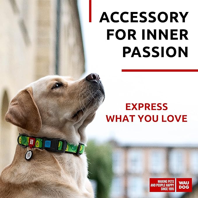 WAUDOG Nylon Dog Collar - Adjustable Dog Collar for Large Dogs, Small & Medium Dogs - Breakaway Puppy Collars for Large Breed Dogs - Boy & Girl Dog Collars with Durable Plastic Buckle and QR Dog Tag