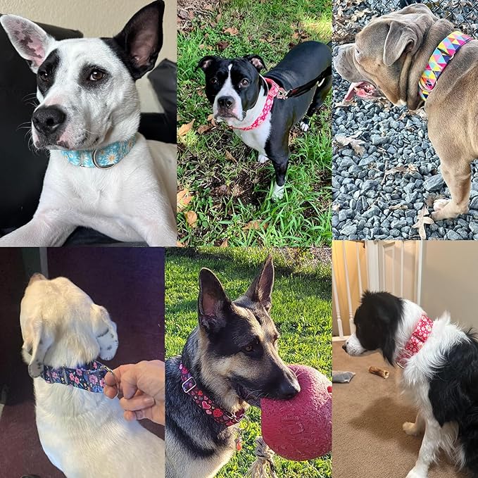 Martingale Dog Collar 1.5 Inch Wide - Bohemian Floral Print Adjustable Nylon No-Pull Training Collar for Large/XL Dogs, Heavy Duty Design for Walking, Hunting & Outdoor Activities (L)