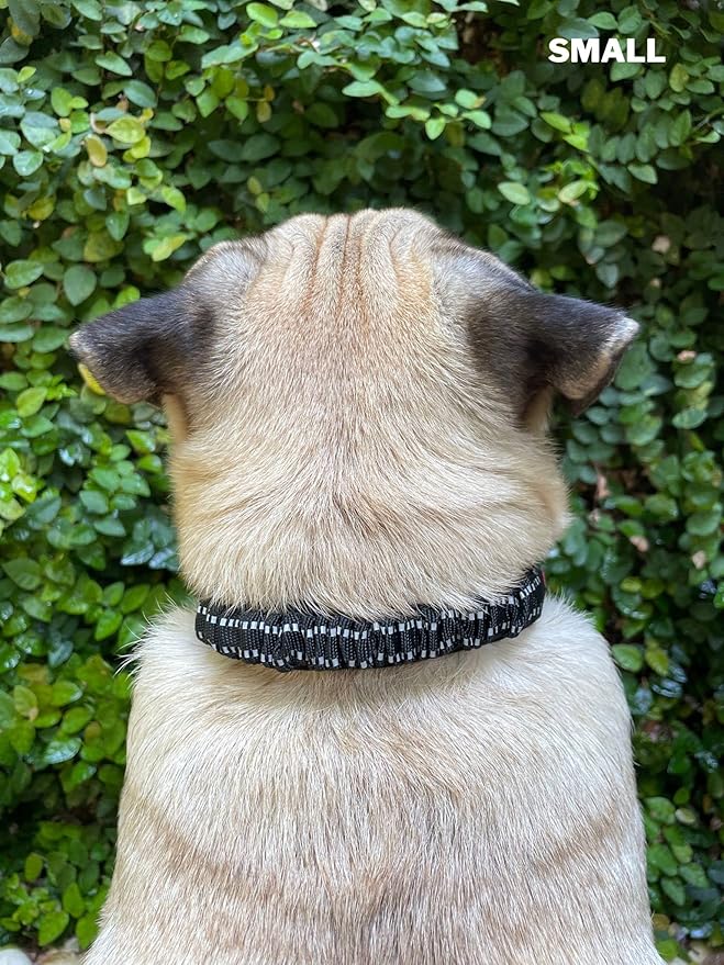 Tuff Pupper Heavy Duty Dog Collar with Handle | Ballistic Nylon Heavy Duty Collar | Padded Reflective Dog Collar with Adjustable Stainless Steel Hardware | Convenient Sizing for All Breeds