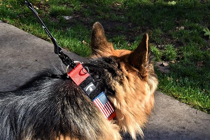 Tactical Dog Collar 2 Inch Wide Thick Heavy Duty Military Style with Metal Buckle, Adjustable for Medium - Large Breeds, Durable K9 Training Gear with Patch Area, USA Flag Patch, Strong and Secure Fit