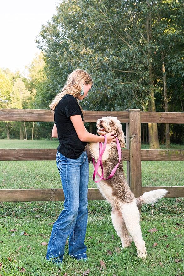 Country Brook Petz - American-Made Dog Collar for Large, Medium, and Small Dogs and Puppies - Deluxe Heavy Duty Nylon in 33 Dazzling Colors (Extra Small, 3/8 Inch Wide, Rose)