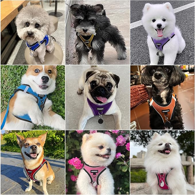 Dog Harness and Leash Set, Dog Harness for Dogs No Pull, No-Chock Step-in Reflective Breathable Lightweight Easy Walk Vest Harnesses with Safety Buckle for Small Medium Dogs, Cats (Purple, M)