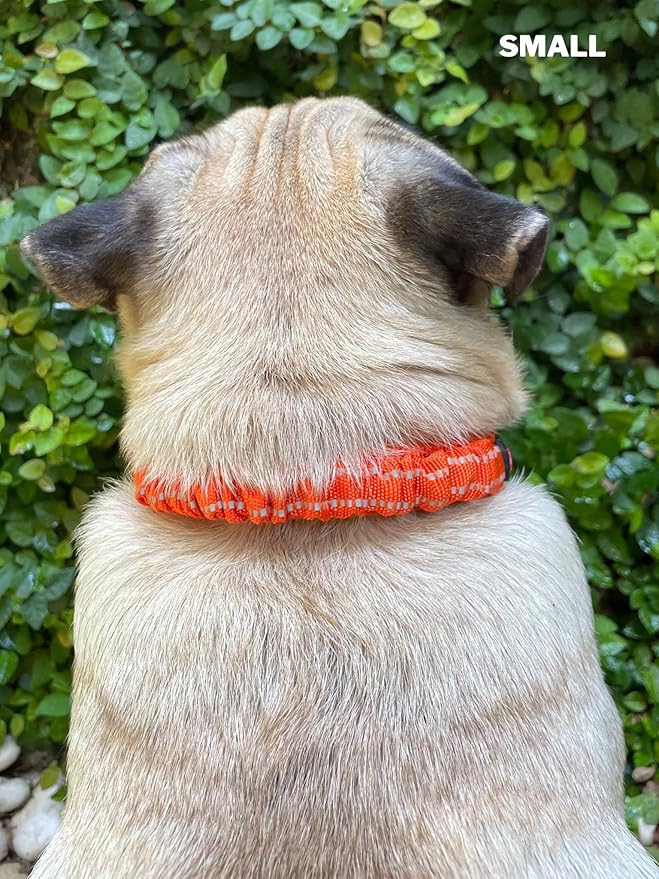 Tuff Pupper Heavy Duty Dog Collar with Handle | Ballistic Nylon Heavy Duty Collar | Padded Reflective Dog Collar with Adjustable Stainless Steel Hardware | Convenient Sizing for All Breeds