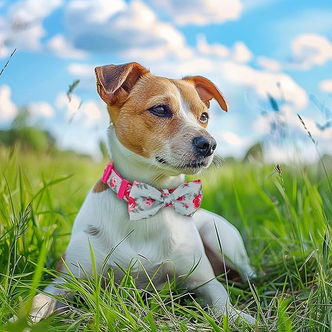 azuza Dog Collar with Bow Tie, Soft and Comfortable Adjustable Bowtie Dog Collar for Medium Dogs (M, Camellia Flower)