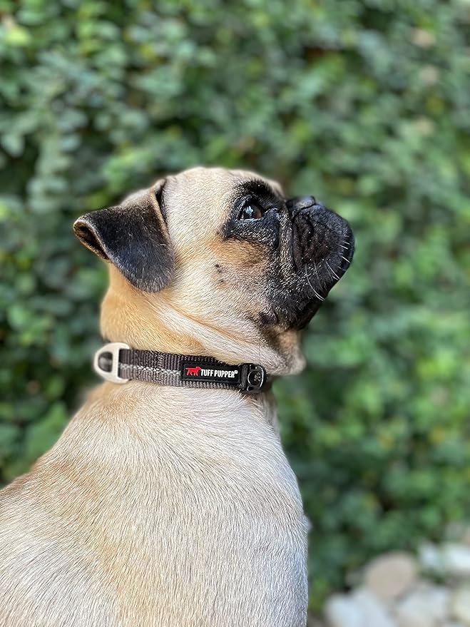 Tuff Pupper Heavy Duty Dog Collar | Reflective with Aluminum D-Ring Leash Clip | Separate Dog ID Tag Attachment | Easy Sizing for All Breeds