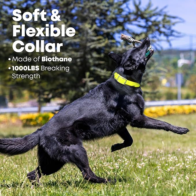 Regal Dog Products Small Yellow Waterproof Dog Collar and Leash Set | Heavy Duty Double Buckle & D Ring - 5'ft Leash | Adjustable Biothane Dog Collar | Chew Resistant Waterproof Collar for Dogs