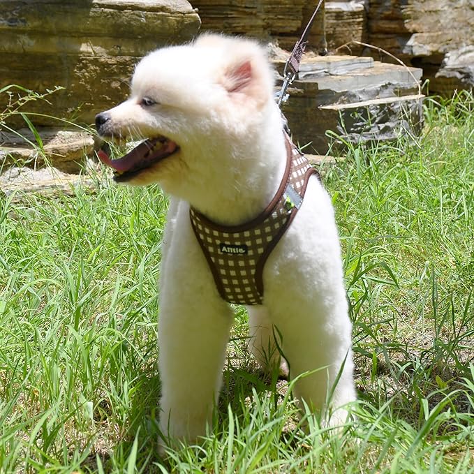 AIITLE Easy Walk Dog Vest Harness and Leash Set, Pet Supply No Pull, Breathable Mesh, Reflective Stripes, Adjustable Escape Proof Pet Outdoor Harnesses for Medium Dogs Chocolate L