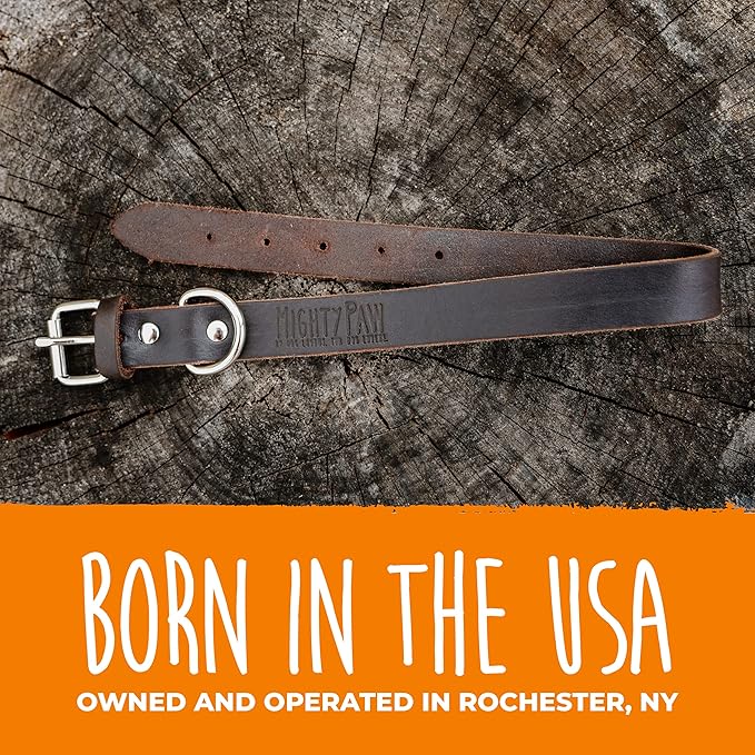 Mighty Paw Leather Dog Collar - Genuine Distressed Leather - Strong Metal Buckle - Ultimate Comfort - Modern Style for All Dogs Breeds - Comfort Puppy Collar - (Medium - Brown)