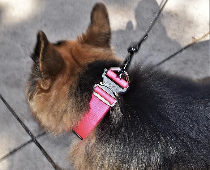 Tactical Dog Collar 2 Inch Wide Thick Heavy Duty Military Style with Metal Buckle, Adjustable for Medium - Large Breeds, Durable K9 Training Gear with Patch Area, USA Flag Patch, Strong and Secure Fit