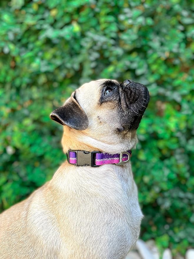 Tuff Pupper Heavy Duty Collar | Reflective with Aluminum D-Ring | Separate Dog ID Tag Attachment | Easy Sizing for All Breeds