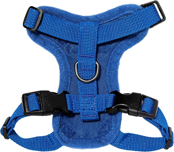Voyager Step-in Lock Adjustable Cat Harness w. Cat Leash Combo Set with Neoprene Handle 5ft - Supports Small, Medium and Large Breed Cats by Best Pet Supplies - Royal Blue, XXXS