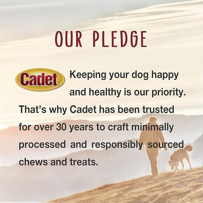 Cadet Gourmet Chicken Wrapped Biscuit Dog Treats, Training Treats for Small and Large Dogs, Inspected & Tested in USA, 14 oz.