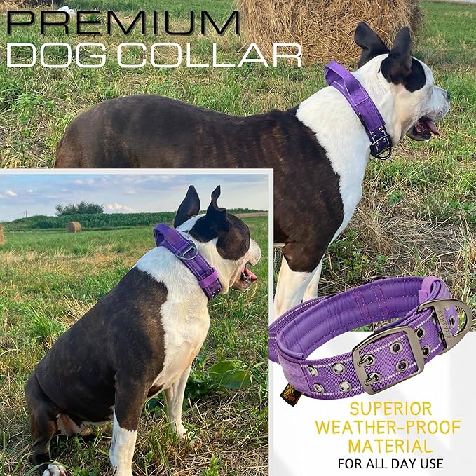 ADITYNA Heavy Duty Dog Collar for Extra-Large Dogs - Reflective Purple Collar with Handle for Training, and Walking - Wide, Thick, Tactical, Soft Neoprene Padded