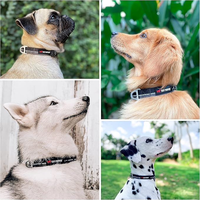 Tuff Pupper Heavy Duty Dog Collar | Reflective with Aluminum D-Ring Leash Clip | Separate Dog ID Tag Attachment | Easy Sizing for All Breeds