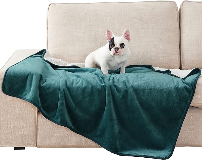 Bedsure Cat Blanket for Indoor Cats - Waterproof Calming Cat Blankets for Couch Protection, Sherpa Fleece Pet Blanket, Soft Plush Reversible Throw Furniture Protector, 50"x40", Green