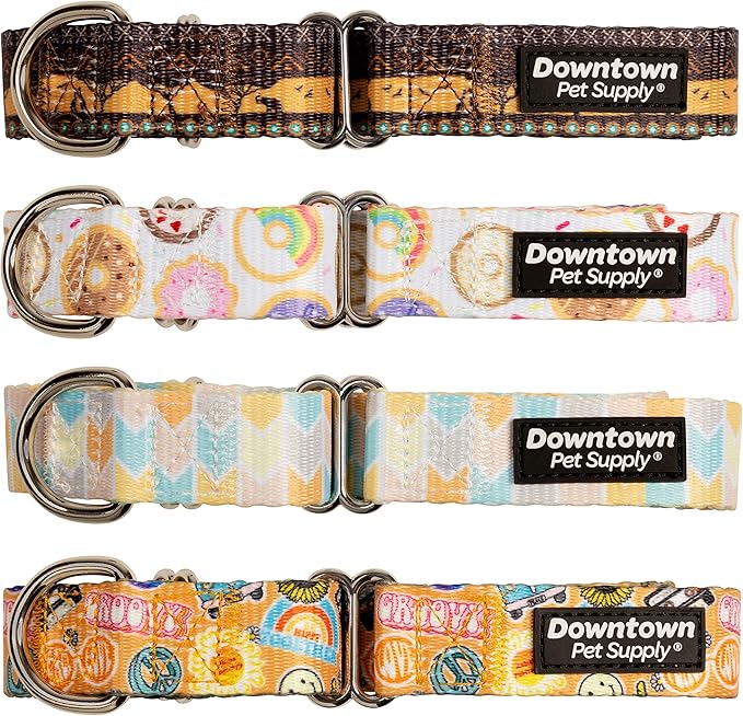 Downtown Pet Supply - Martingale Collar for Dogs - Dog Training Collar - Big, Wide & Thick Dog Collar - Escape-Proof, Weatherproof, Durable and Comfortable - Chevron - Medium Dog Collar