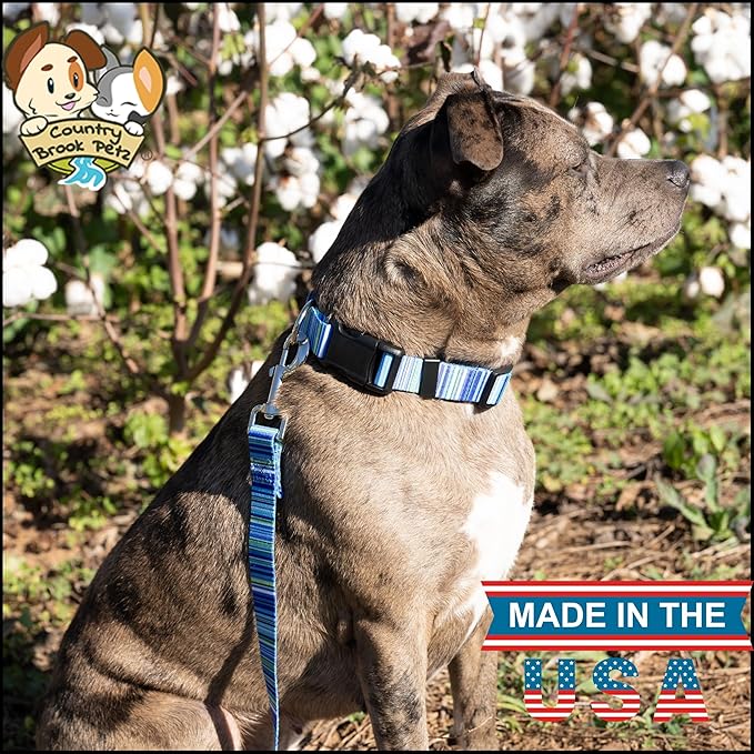 Country Brook Petz - Deluxe Blue Serape Dog Collar - Made in The U.S.A. - Country and Western Collection Featuring Rustic Designs (5/8 Inch, Small)