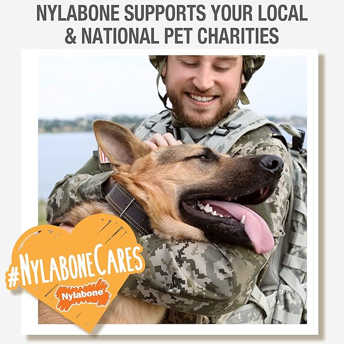 Nylabone Nutri Dent Dog Dental Chews - Natural Dog Teeth Cleaning & Breath Freshener - Dental Treats for Dogs - Fresh Breath Flavor, Medium (20 Count)