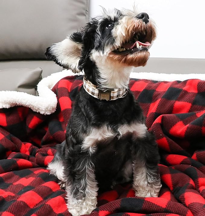 Unique style paws Dog Collar Metal Buckle Collar Gift for Small Medium Large Boys Girls Dogs, brown plaid
