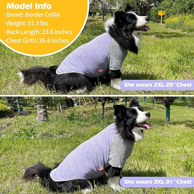 KYEESE 2 Pack Dog Shirts Quick Dry for Medium Dogs Breathable Lightweight Stretchy Dog T-Shirt with Reflective Label Raglan Sleeve Pet Clothes UV Protection, Purple+Grey, 2XL